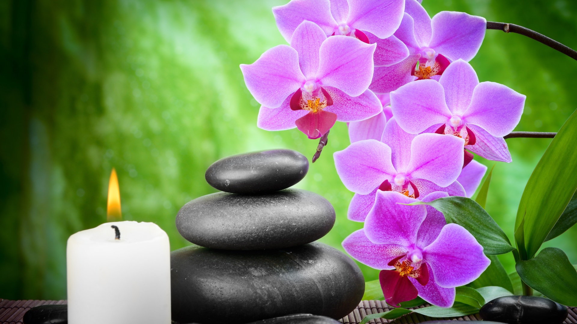 Pebbles, candles and orchids Wallpaper for 1920x1080