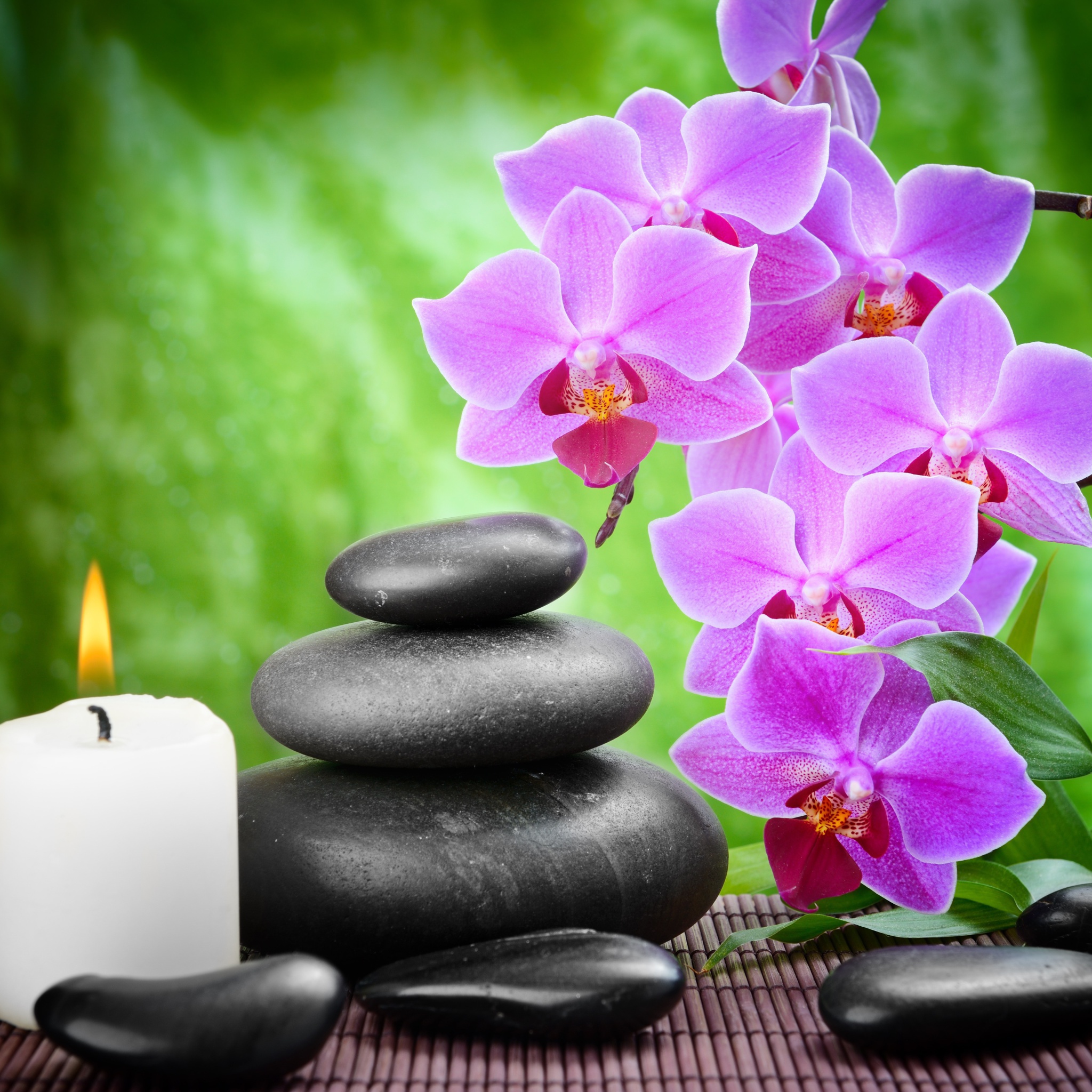 Sfondi Pebbles, candles and orchids 2048x2048