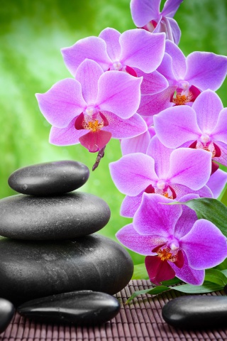 Pebbles, candles and orchids wallpaper 320x480