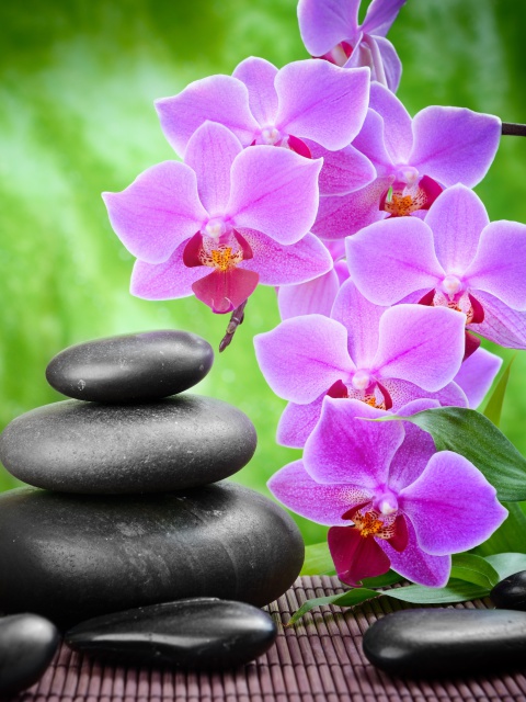 Pebbles, candles and orchids wallpaper 480x640