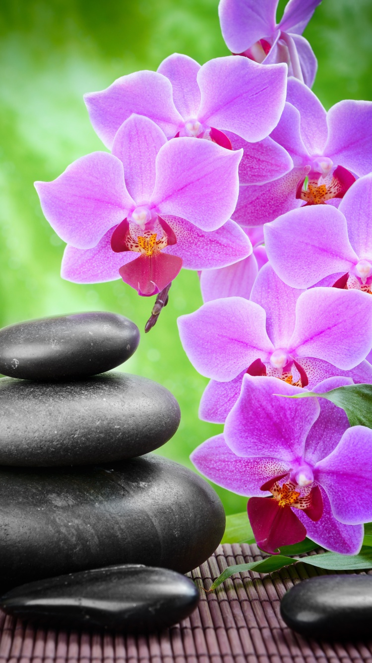 Обои Pebbles, candles and orchids 750x1334