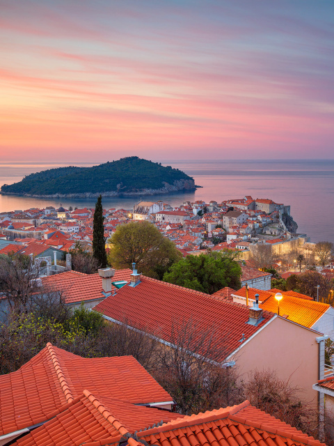 Fondo de pantalla Adriatic Sea and Dubrovnik 480x640