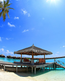 Sfondi Luxury Bungalows in Maldives Resort 128x160
