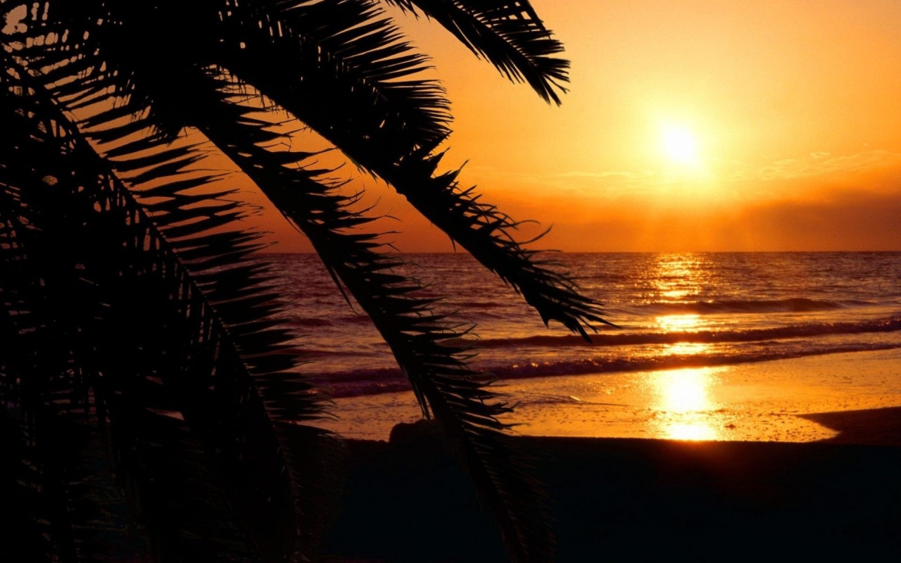 Screenshot №1 pro téma Tropical Paradise Beach 1280x800