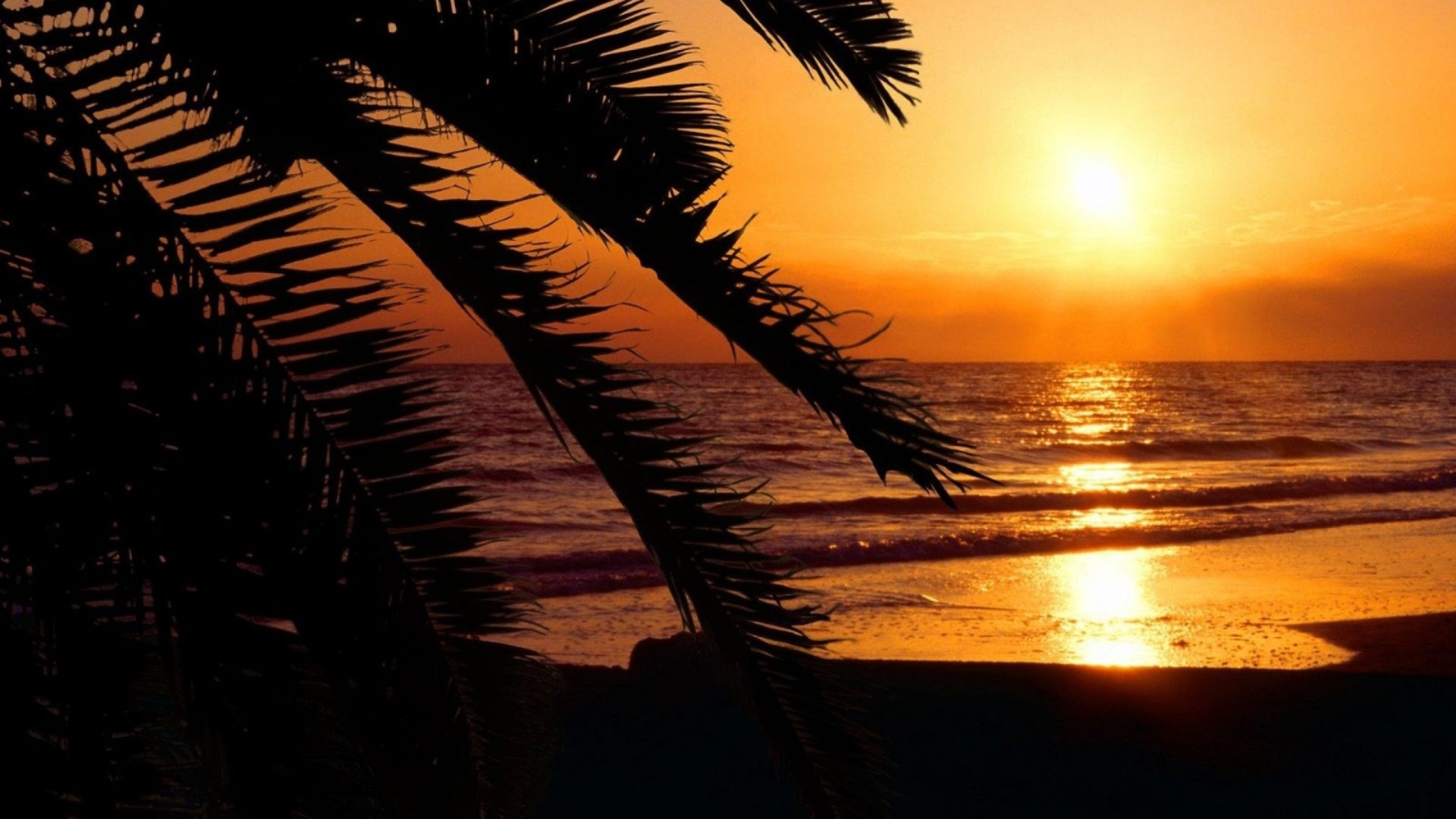 Screenshot №1 pro téma Tropical Paradise Beach 1600x900