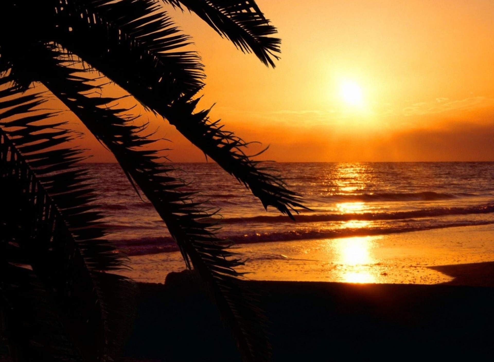 Tropical Paradise Beach screenshot #1 1920x1408
