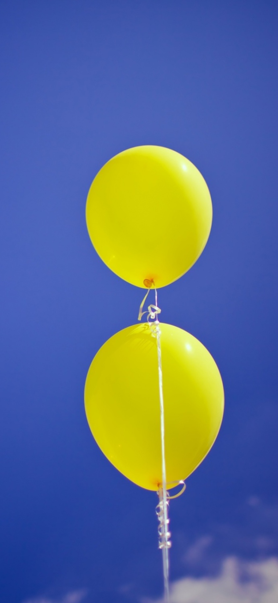 Обои Yellow Balloons In The Blue Sky 1170x2532