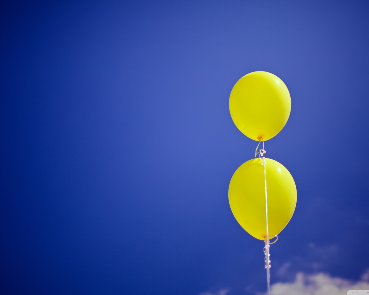 Fondo de pantalla Yellow Balloons In The Blue Sky 1280x1024