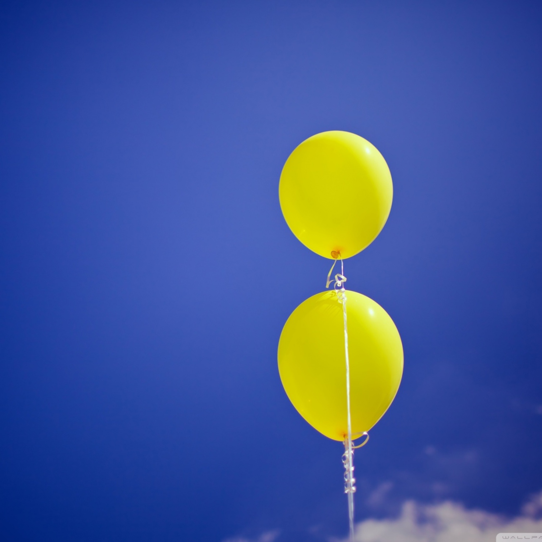 Yellow Balloons In The Blue Sky wallpaper 2048x2048