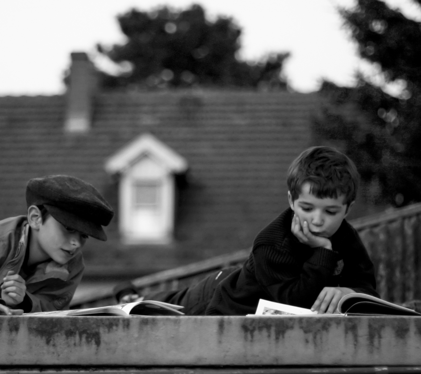 Das Reading On The Roof Wallpaper 1440x1280