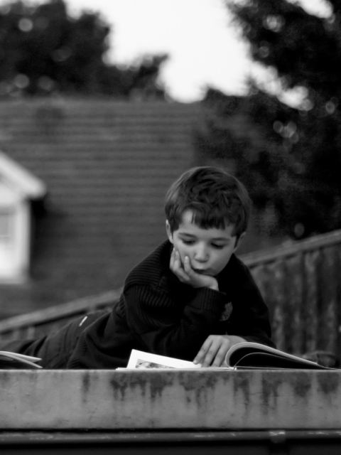 Reading On The Roof wallpaper 480x640