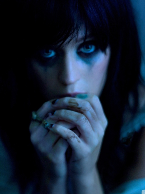 Screenshot №1 pro téma Katy Perry - The One That Got Away 480x640