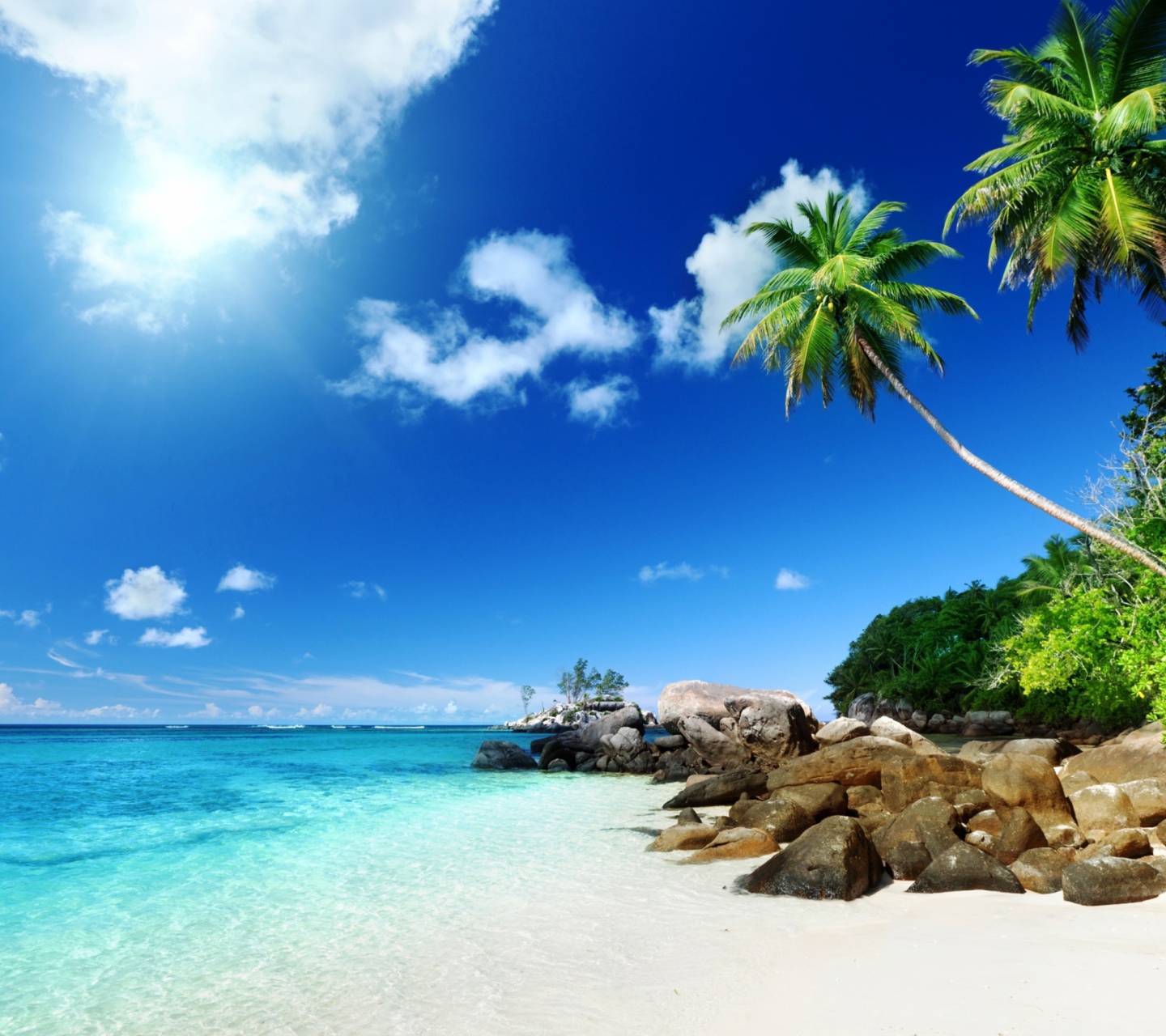 Fondo de pantalla Tropical Beach 1440x1280