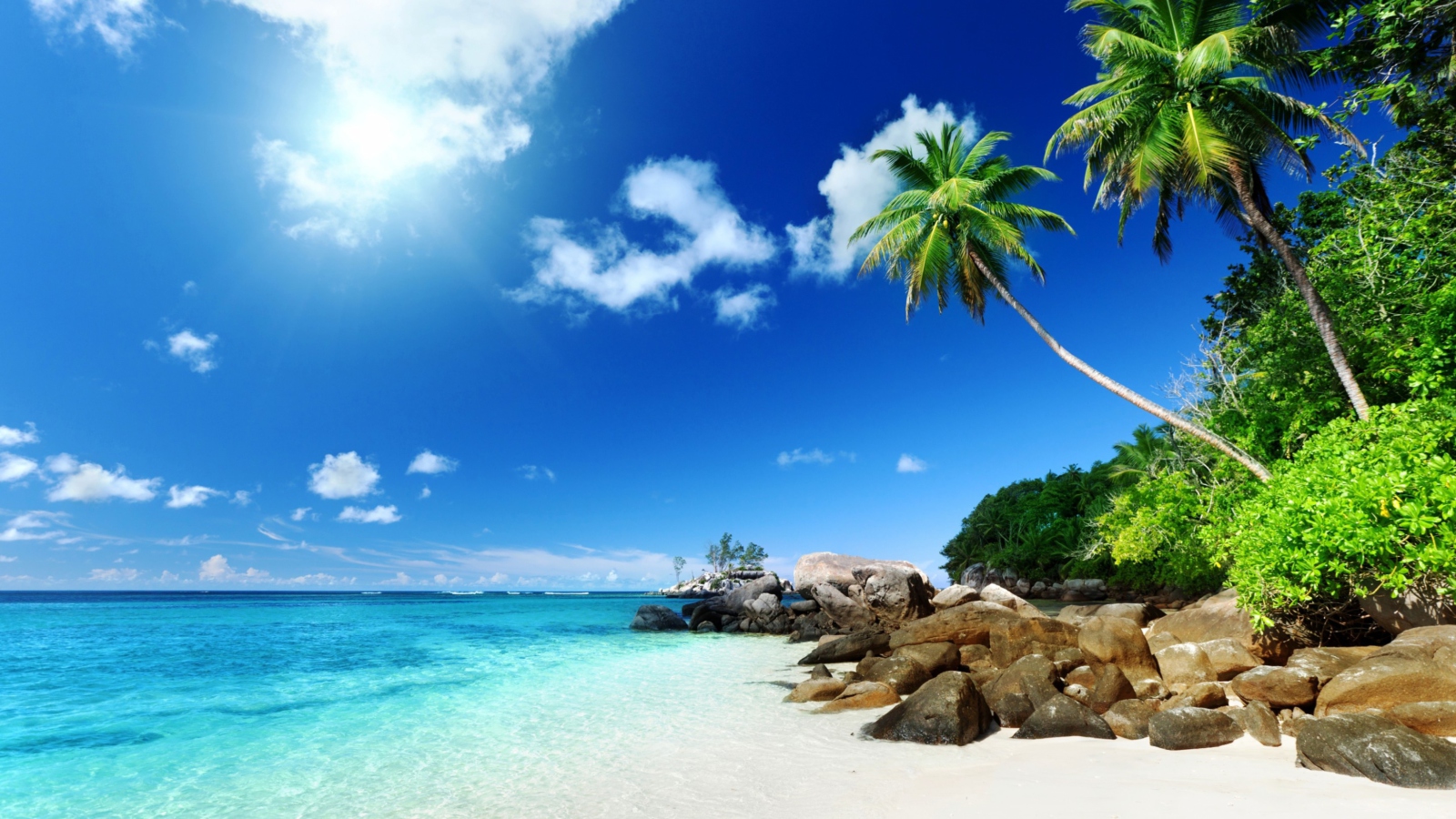 Fondo de pantalla Tropical Beach 1600x900