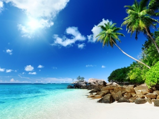 Tropical Beach screenshot #1 320x240