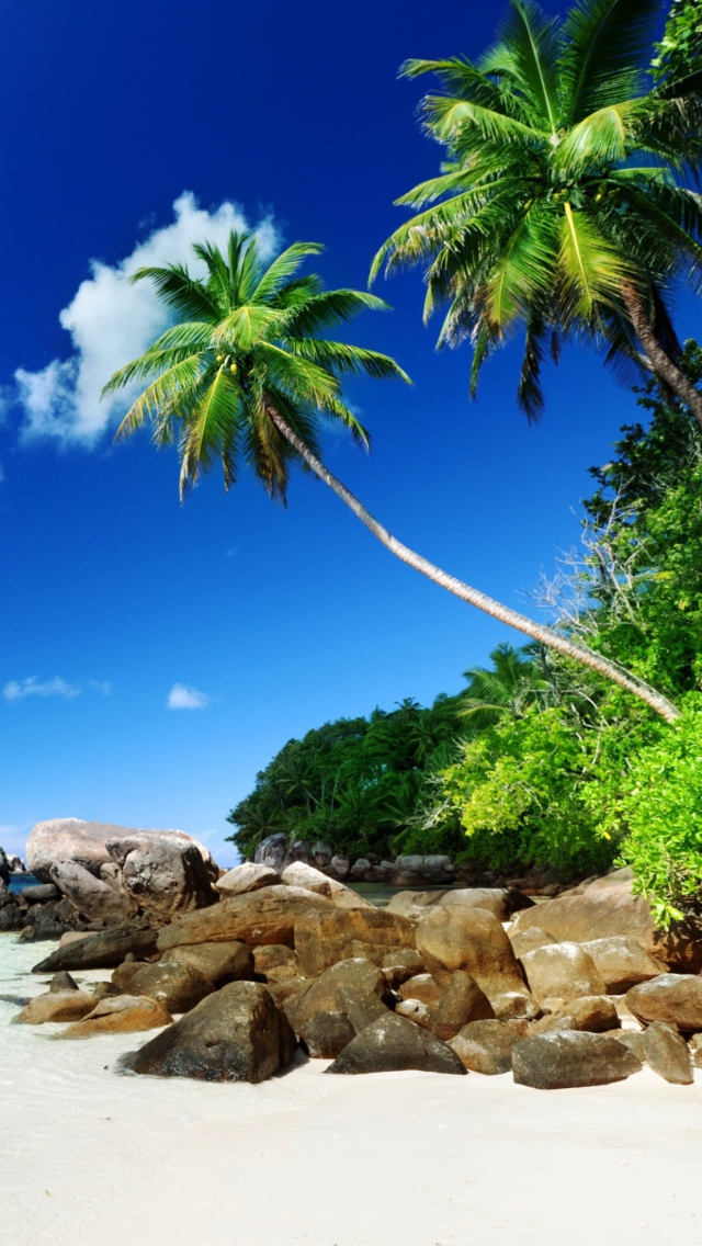 Das Tropical Beach Wallpaper 640x1136