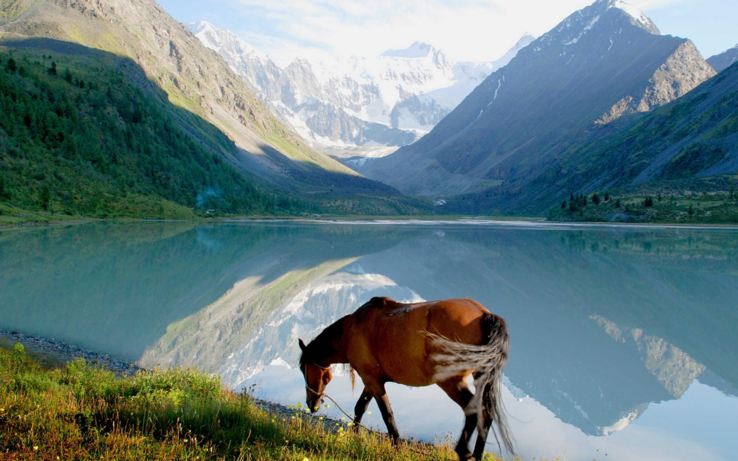 Fondo de pantalla Mountains Lake Horse 2560x1600