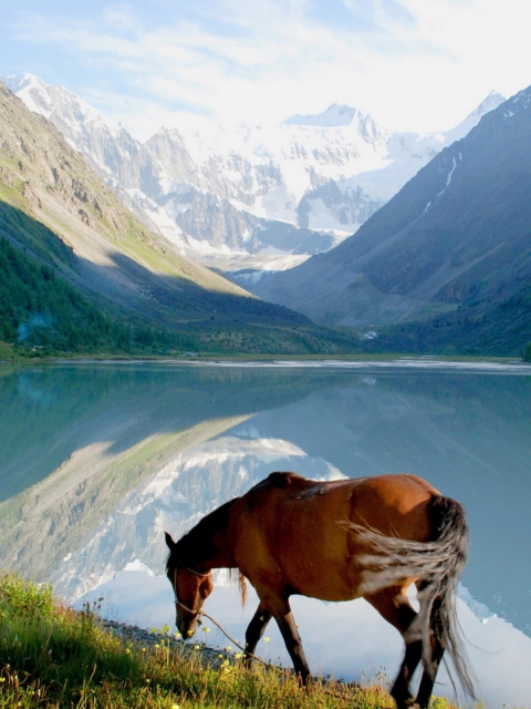 Mountains Lake Horse screenshot #1 480x640