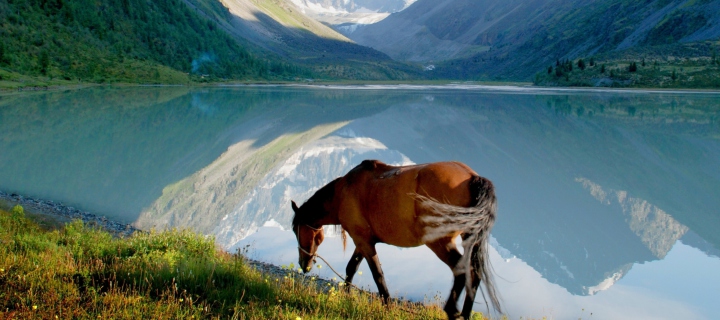 Sfondi Mountains Lake Horse 720x320