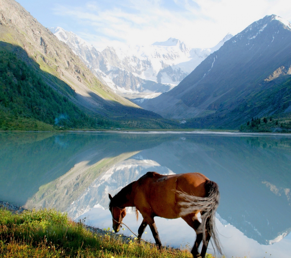 Обои Mountains Lake Horse 960x854