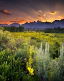 Fondo de pantalla Wyoming National Park In Usa 128x160