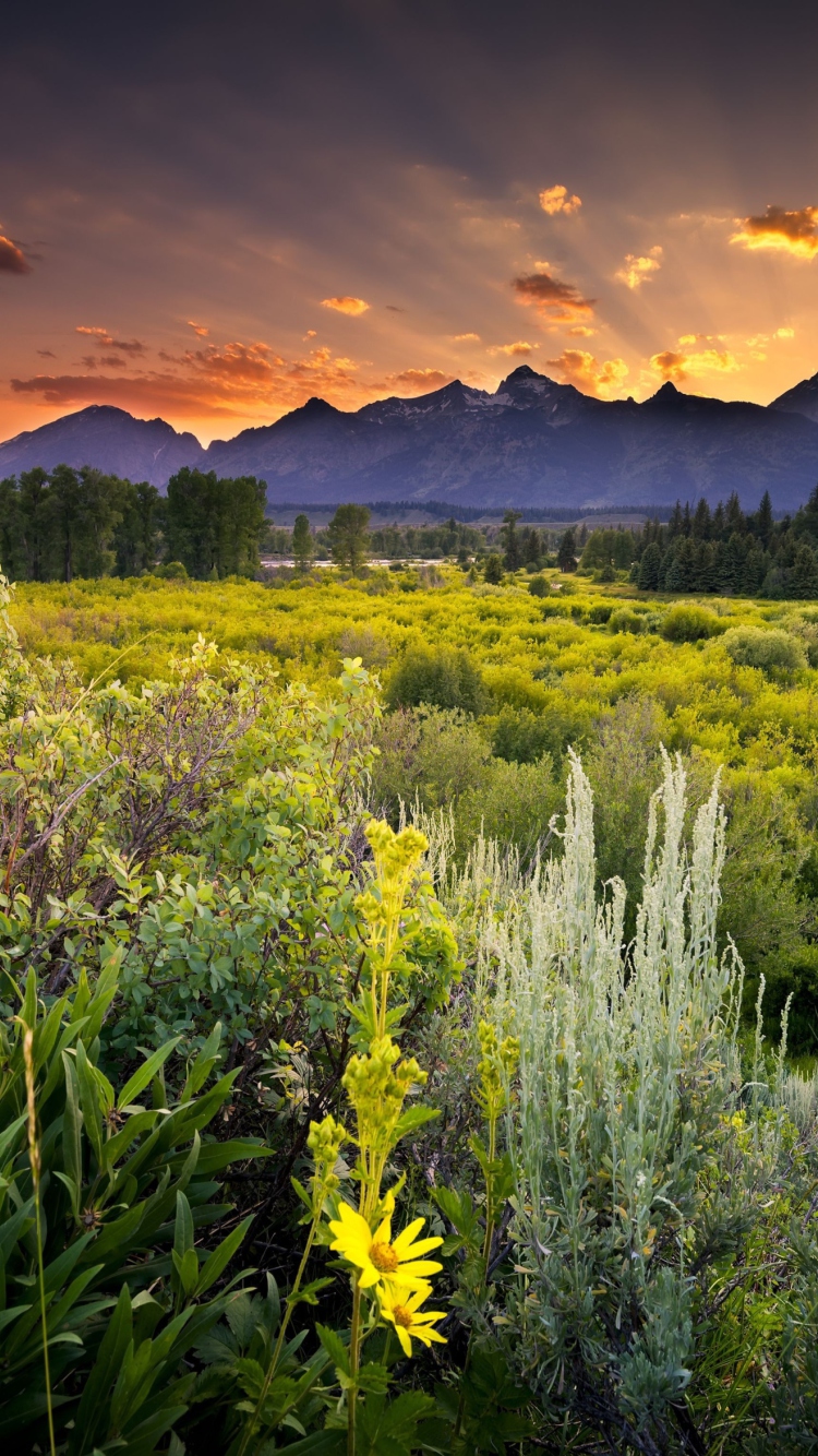 Wyoming National Park In Usa screenshot #1 750x1334