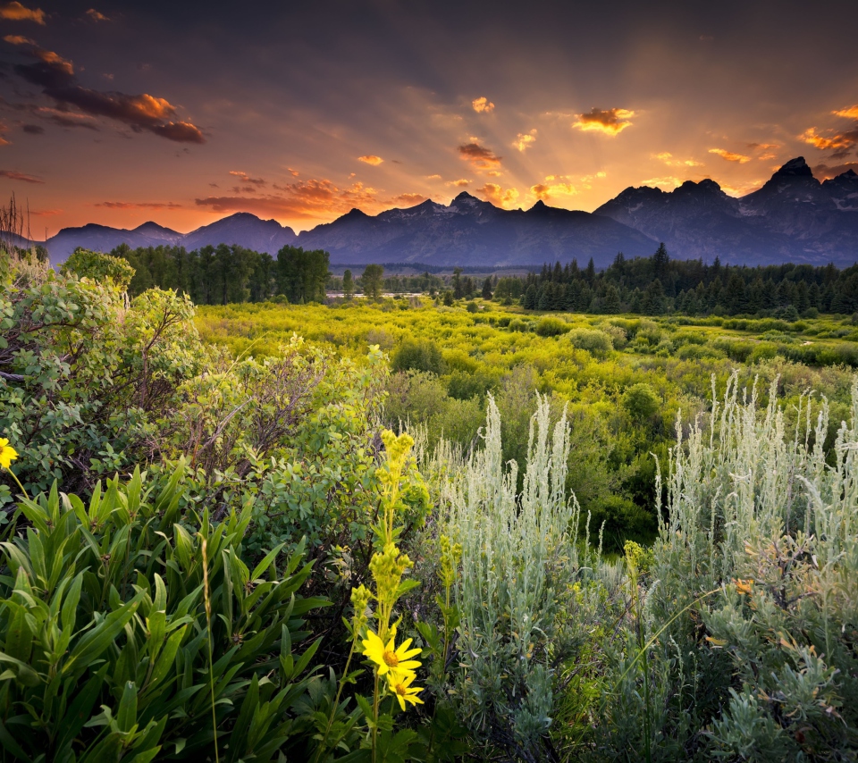 Screenshot №1 pro téma Wyoming National Park In Usa 960x854