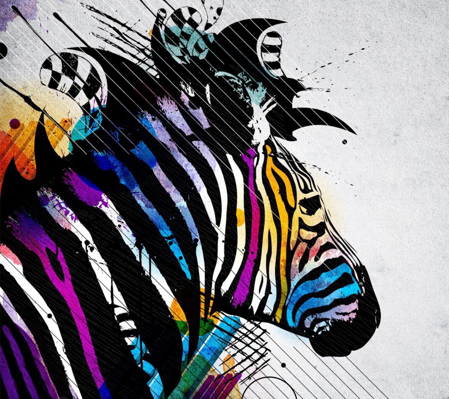 Colored Zebra wallpaper 1440x1280