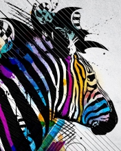 Colored Zebra wallpaper 176x220