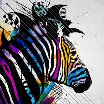 Fondo de pantalla Colored Zebra 208x208