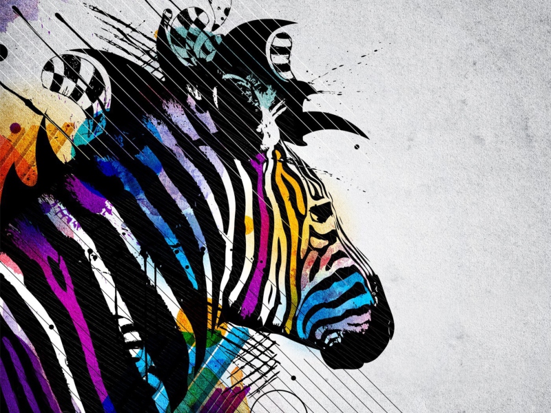 Colored Zebra wallpaper 800x600