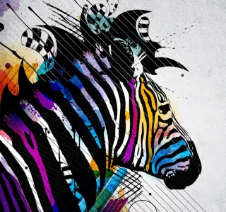 Colored Zebra sfondi gratuiti per 1024x1024