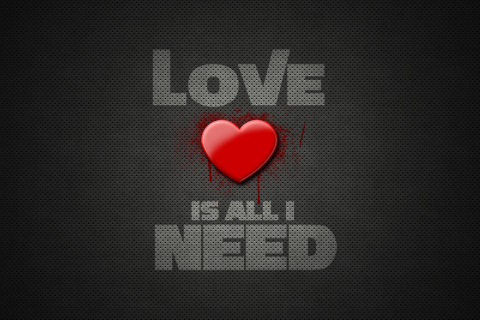 Обои Love Is All I Need 480x320
