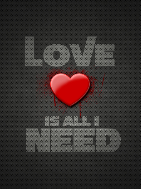 Sfondi Love Is All I Need 480x640