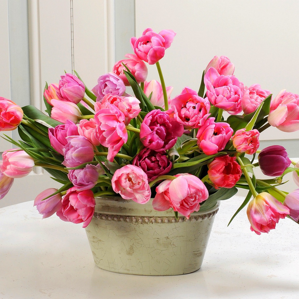 Обои Bouquet of Tulips 1024x1024