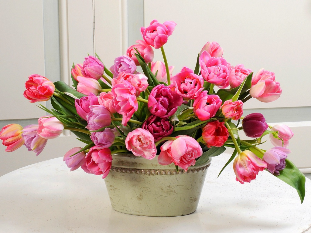 Fondo de pantalla Bouquet of Tulips 1024x768