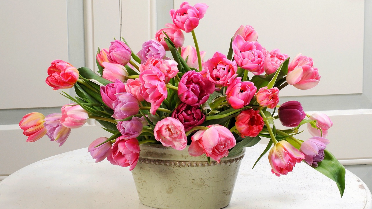 Screenshot №1 pro téma Bouquet of Tulips 1280x720