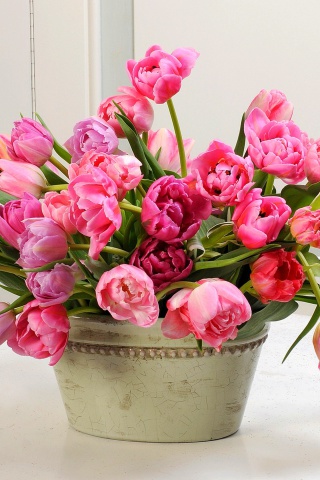 Fondo de pantalla Bouquet of Tulips 320x480