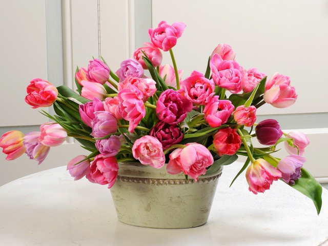 Обои Bouquet of Tulips 640x480