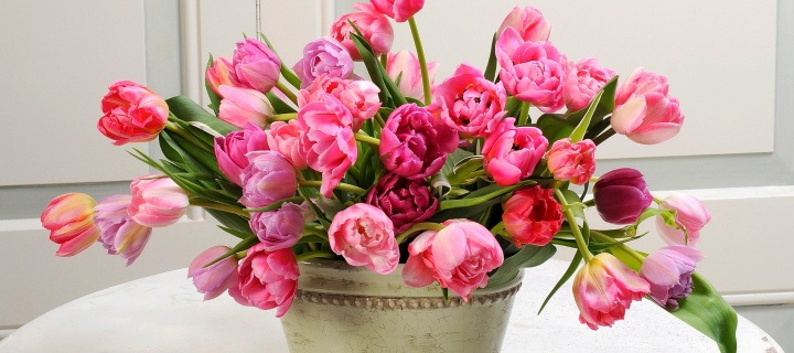 Bouquet of Tulips wallpaper 720x320