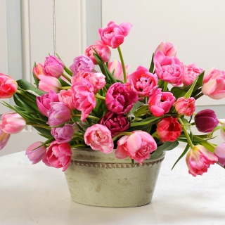 Kostenloses Bouquet of Tulips Wallpaper für iPad