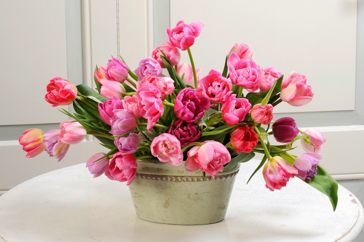 Обои Bouquet of Tulips