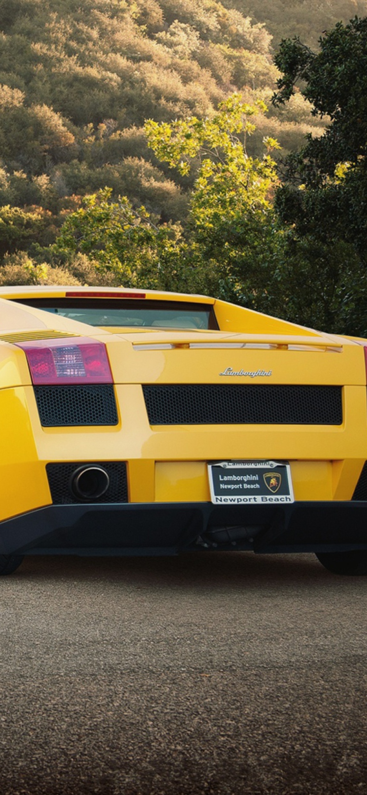 Yellow Lamborghini screenshot #1 1170x2532