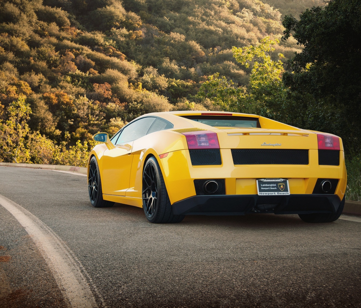 Das Yellow Lamborghini Wallpaper 1200x1024
