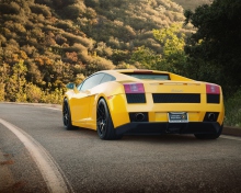 Yellow Lamborghini wallpaper 220x176