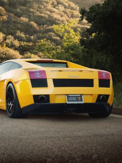 Fondo de pantalla Yellow Lamborghini 240x320