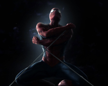 The Amazing Spider Man 2012 Film wallpaper 220x176