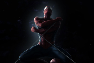 The Amazing Spider Man 2012 Film - Obrázkek zdarma 