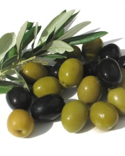 Обои Olives 176x220