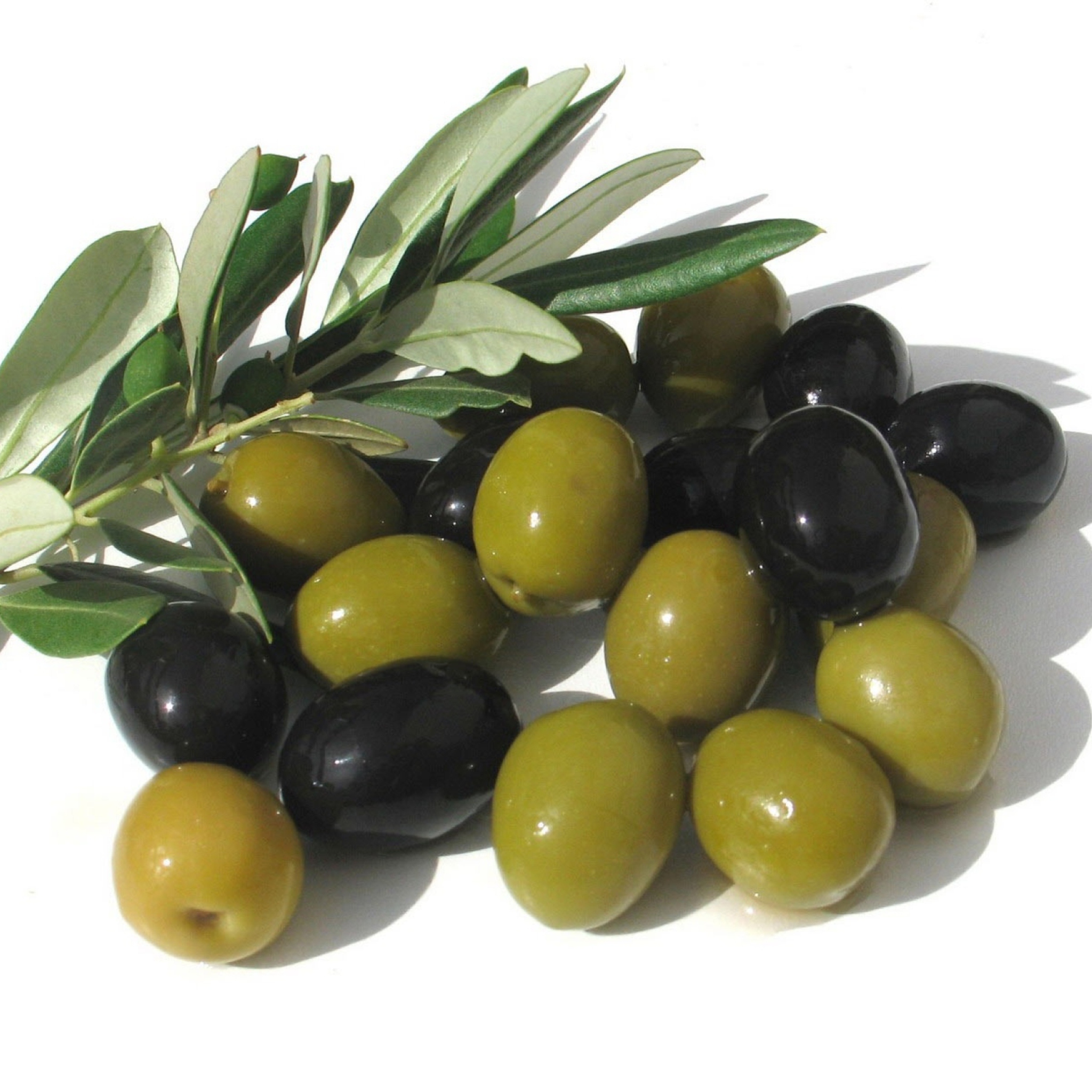 Обои Olives 2048x2048